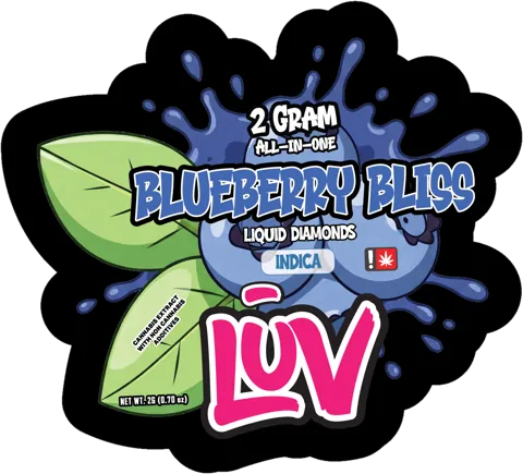 LUV Blueberry Bliss 2G disposable